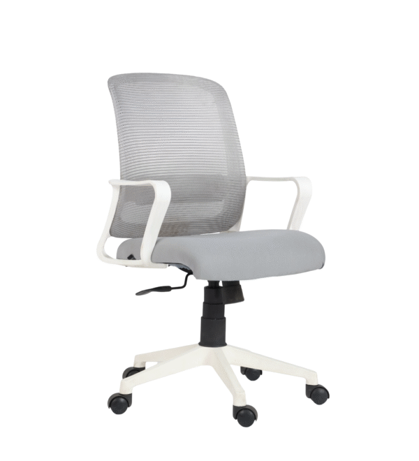 Shop Online Orbit Computer Chair Grey & White | Vassio Revolving Chair for Office & Home – 24 Months Warranty