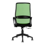 Trezza Mesh Office Chair Green Back and Black Seat with Nylon Base – Vassio