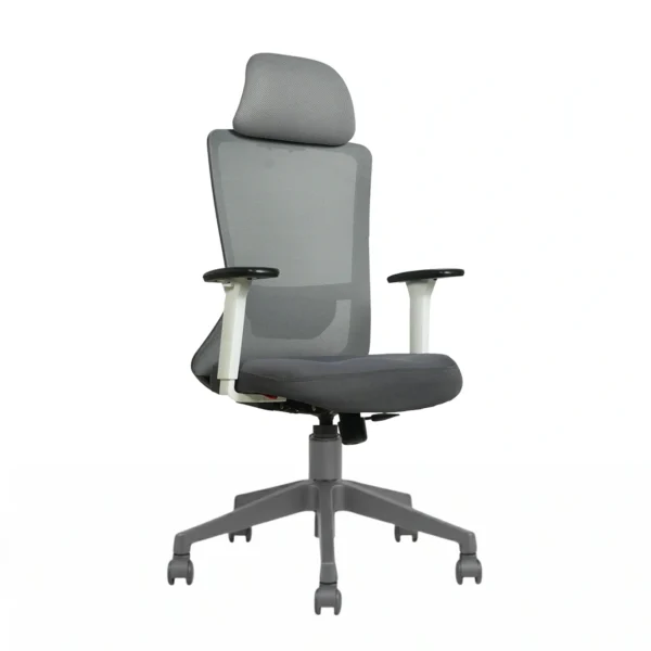 Trion Ergonomic Office Chair Grey with Nylon Base – Vassio