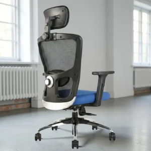 Erica Executive Blue Office Chair – Mesh Ergonomic Revolving Chair with Chrome Base by Vassio