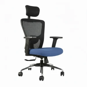 Erica Executive Blue Office Chair – Mesh Ergonomic Revolving Chair with Chrome Base by Vassio