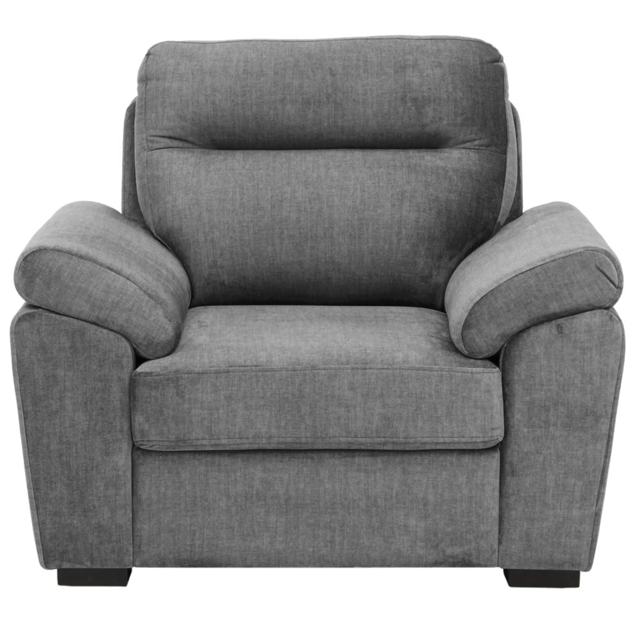Ojas 1 Seater Sofa Dark Grey premium fabric arm chair by Vassio