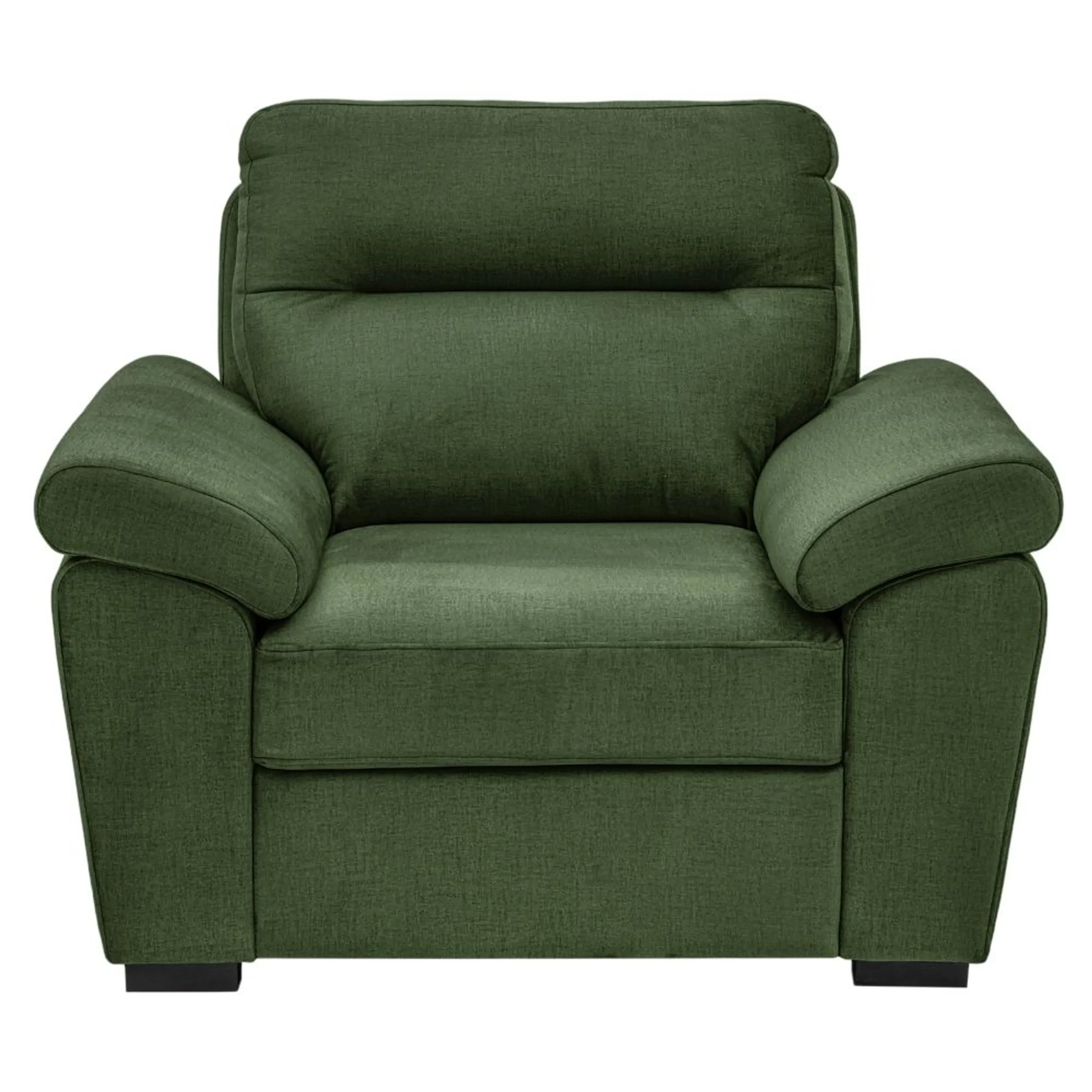 Ojas 1 Seater Sofa Green premium fabric arm chair by Vassio