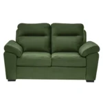 Ojas 2 Seater Sofa Green premium fabric modern sofa by Vassio
